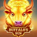 Buffalo's Sun 2